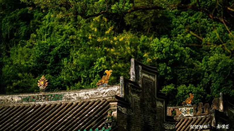 東莞龍魚養(yǎng)殖基地在哪里啊