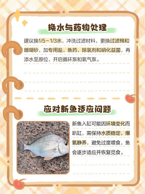 銀龍魚蒙眼是怎么回事圖片