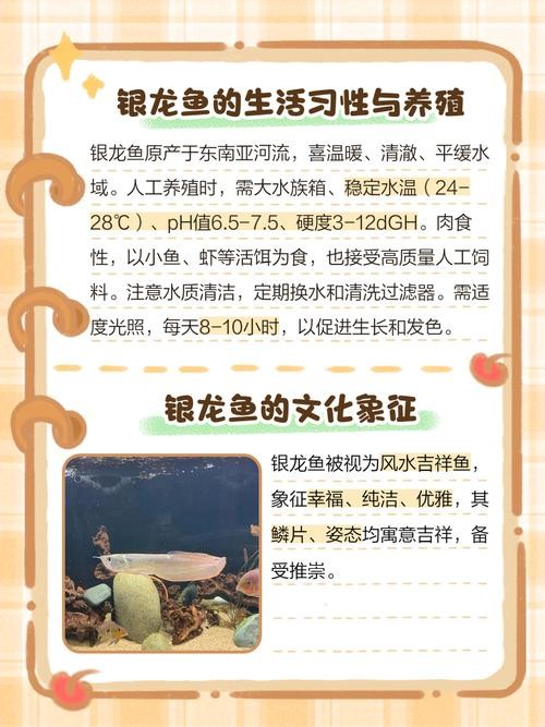 銀龍魚蒙眼是怎么回事圖片