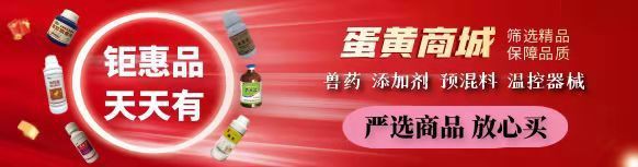 龍王是什么生肖