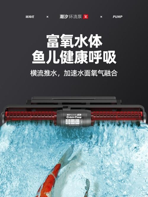 龍魚趴缸期間如何保持水質(zhì)穩(wěn)定？