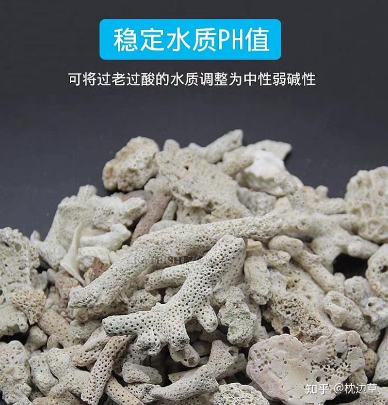 龍魚趴缸期間如何保持水質穩定？