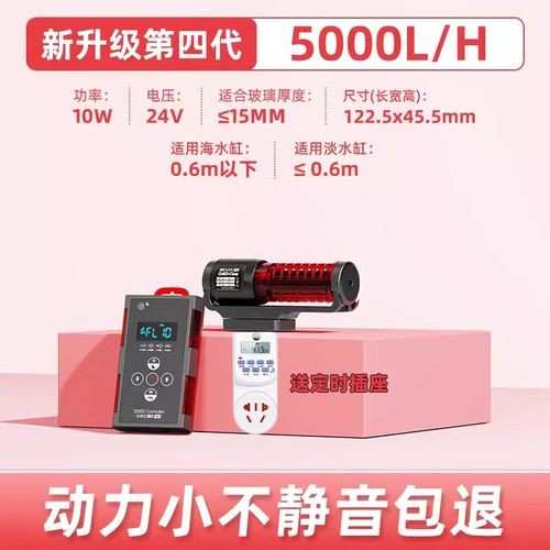 龍魚趴缸期間如何保持水質穩定？
