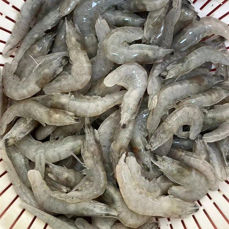龍魚(yú)魚(yú)食制作視頻：自制龍魚(yú)飼料保存方法，龍魚(yú)控食期注意事項(xiàng)