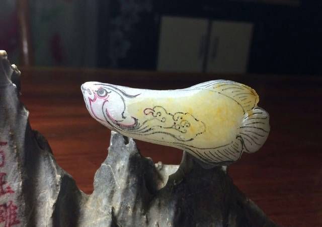 金龍魚鑒賞圖：金龍魚的美麗與魅力,金龍魚鑒賞圖：關于金龍魚的一些鑒賞圖：金龍魚的美麗與魅力