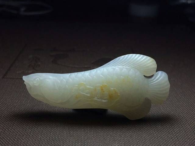 金龍魚鑒賞圖：金龍魚的美麗與魅力,金龍魚鑒賞圖：關于金龍魚的一些鑒賞圖：金龍魚的美麗與魅力