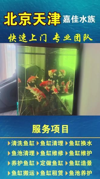 珠海上門護理清洗魚缸 龍魚世家水族館誠信
