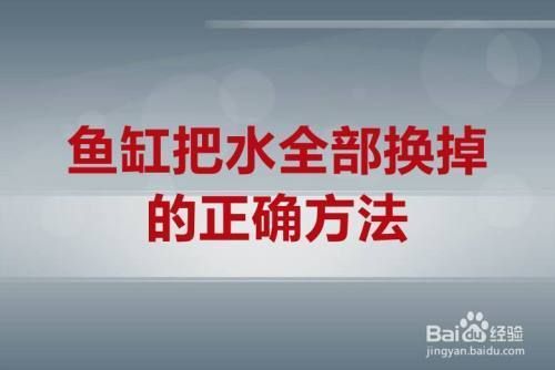 魚缸全部換水的正確方法（魚缸換水頻率如何掌握） 魚缸全部換水的正確方法（魚缸換水頻率如何掌握） 龍魚百科 第4張