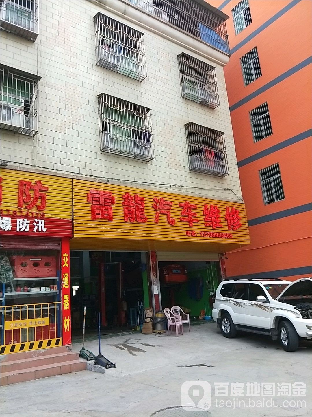 深圳哪里有賣雷龍魚的