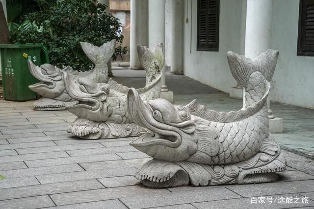 龍魚文化是什么意思：關(guān)于龍魚文化的一些詳細解釋