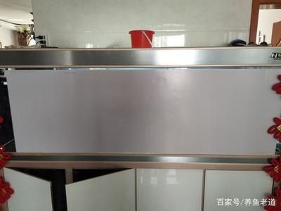 魚缸造景先放沙還是先放水(魚缸造景先鋪沙還是先放石頭) 龍魚撞缸封缸有用嗎(龍魚撞缸有用嗎龍魚撞缸有用嗎龍魚撞缸有用嗎) 龍魚百科 龍魚撞缸封缸有用嗎(龍魚撞缸有用嗎龍魚撞缸有用嗎龍魚撞缸有用嗎) 龍魚撞缸封缸有用嗎(龍魚撞缸有用嗎龍魚撞缸有用嗎龍魚撞缸有用嗎) 龍魚百科