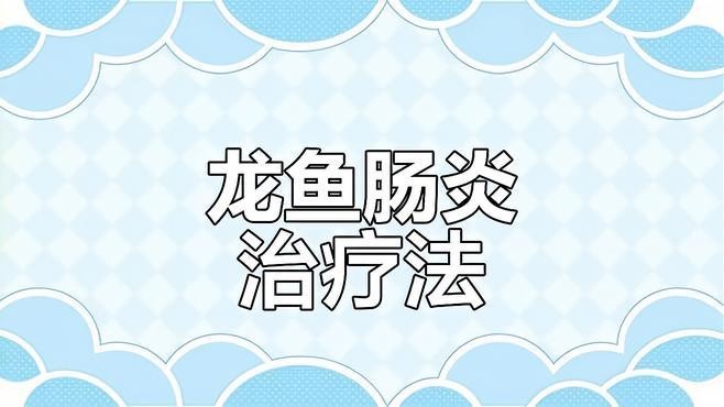 龍魚恢復食欲后應該如何調養？