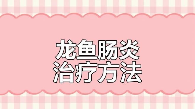 龍魚恢復(fù)食欲后應(yīng)該如何調(diào)養(yǎng)？