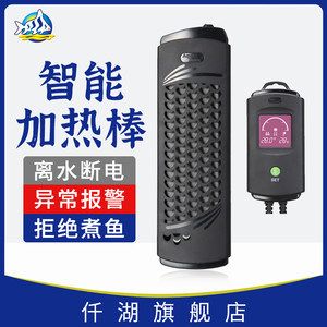 單條龍魚(yú)能生蛋嘛怎么養(yǎng)的