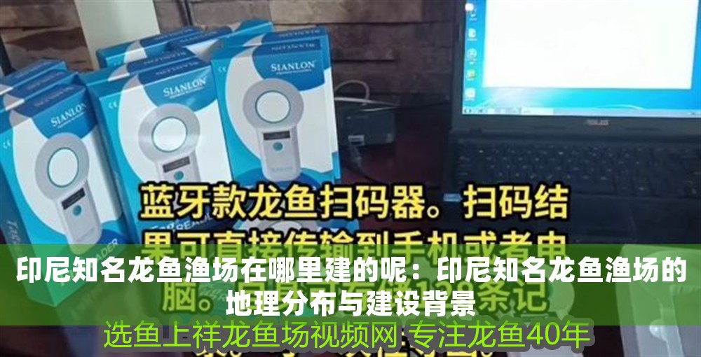 印尼知名龍魚漁場(chǎng)在哪里建的呢：印尼知名龍魚漁場(chǎng)的地理分布與建設(shè)背景