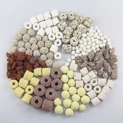 龍魚缸開缸新濾材需要消毒嗎：新購買的魚缸濾材是否需要消毒 龍魚缸開缸新濾材需要消毒嗎：新購買的魚缸濾材是否需要消毒 龍魚百科 第1張