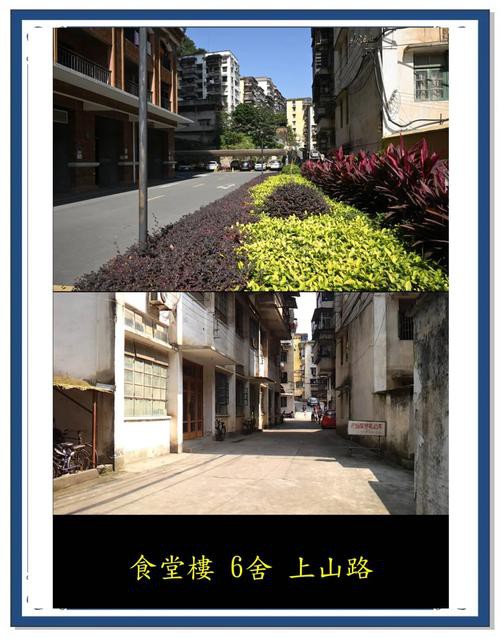 梧州龍魚轉(zhuǎn)盤斷頭路