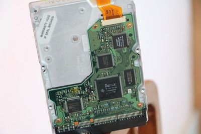 龍魚芯片在哪里可以買到呢，如何查詢龍魚芯片真偽