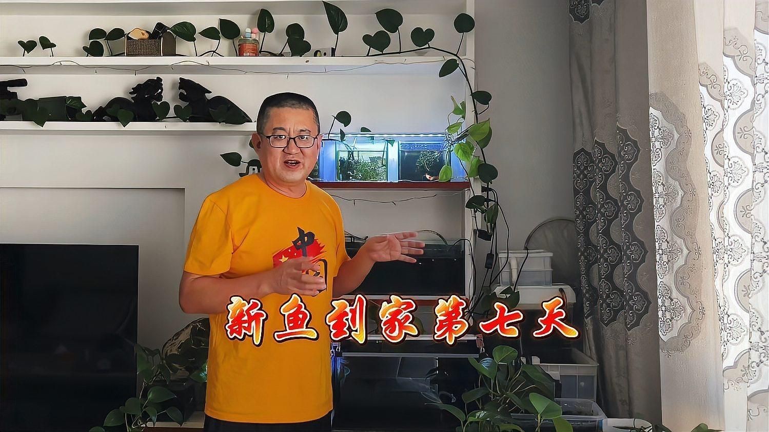 如何判斷魚是否完全恢復？