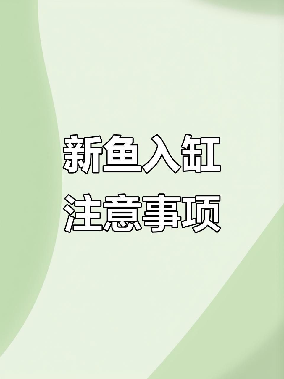 如何判斷魚是否完全恢復？