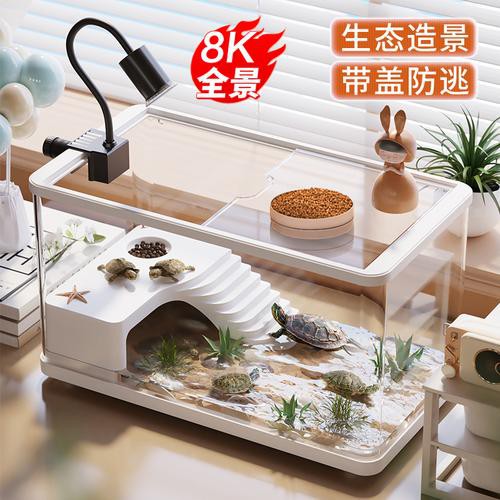 六角恐龍魚飼養技巧和方法圖解