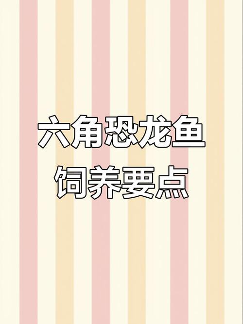 六角恐龍魚飼養技巧和方法圖解