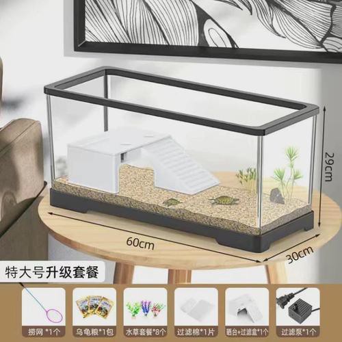 六角恐龍魚飼養技巧和方法圖解