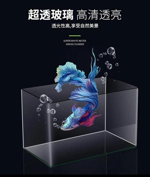 六角恐龍魚飼養技巧和方法圖解