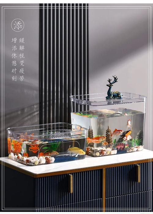 六角恐龍魚飼養技巧和方法圖解