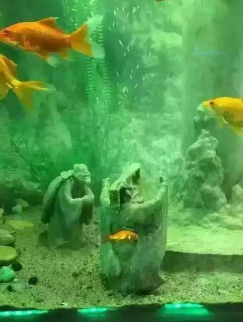 東海龍宮御龍魚缸圖片高清版