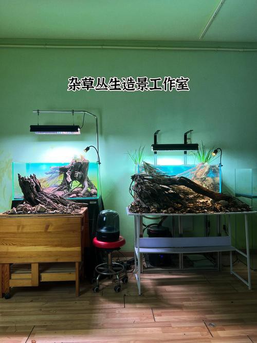 東海龍宮御龍魚缸圖片高清版