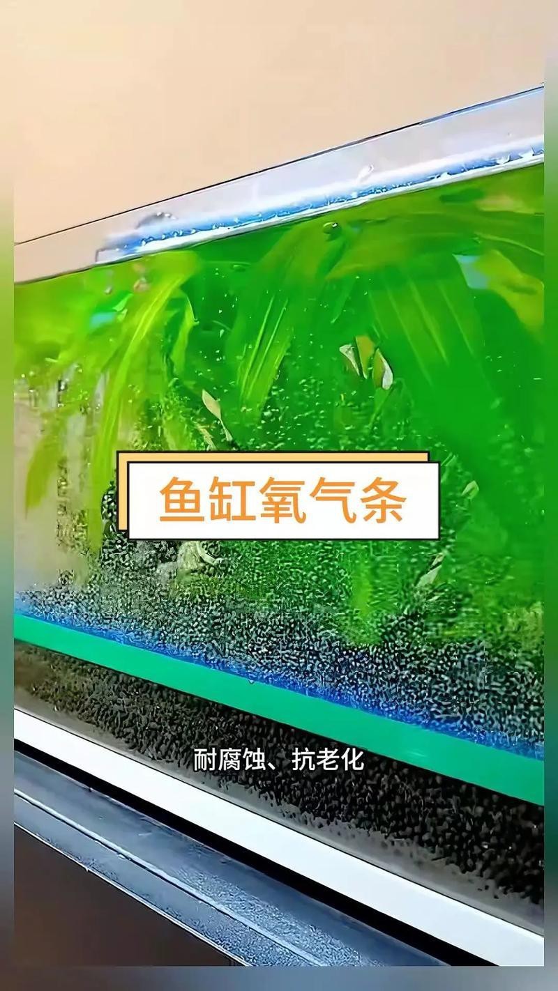 東海龍宮御龍魚缸圖片高清版