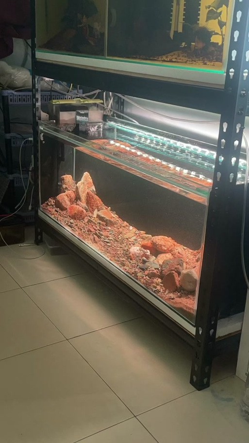 東海龍宮御龍魚缸圖片高清版