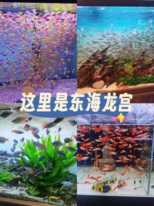 東海龍宮御龍魚缸圖片高清版