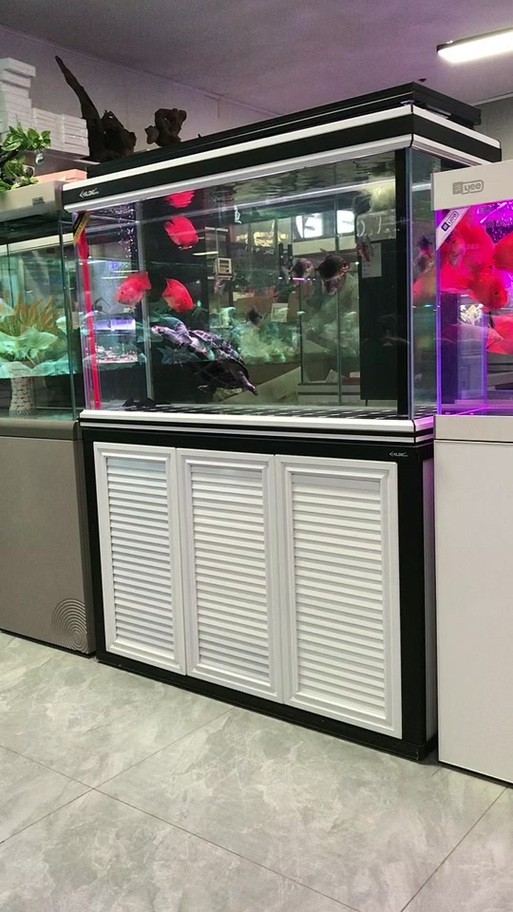 東海龍宮御龍魚缸圖片高清版