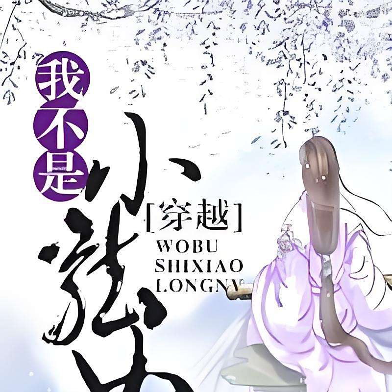 《我不是小龍女(穿越)》的主要內(nèi)容是什么？