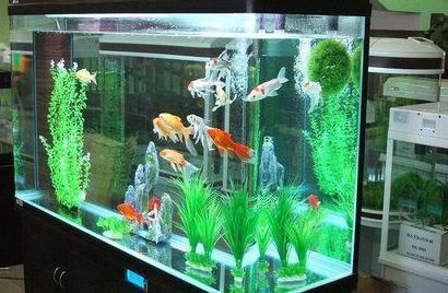 魚缸一般多少天換一次水，魚缸換水的頻率并沒有統一的標準，