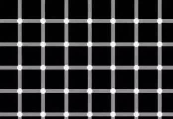 紅龍魚身上有白點怎么辦（紅龍魚身上出現白點可能是由多種原因引起的）