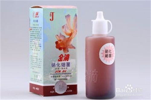 紅龍魚市場價多少錢一條啊圖片視頻（紅龍魚市場價多少錢一條啊圖片視頻大全）