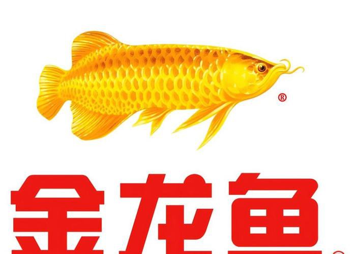 金龍魚標簽設計圖紙