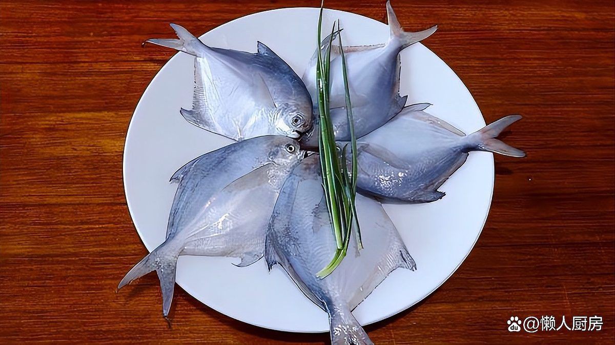 金鯧魚和銀鯧魚有什么區別 金鯧魚和銀鯧魚有什么區別 龍魚百科 第4張