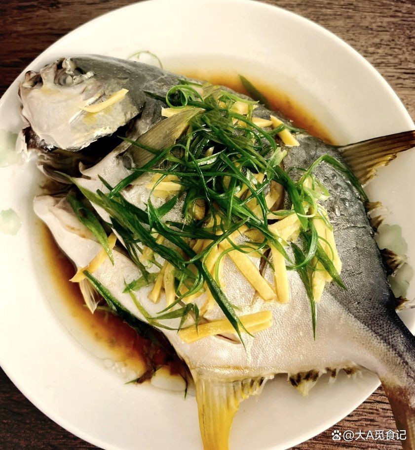 金鯧魚和銀鯧魚有什么區別 金鯧魚和銀鯧魚有什么區別 龍魚百科 第3張