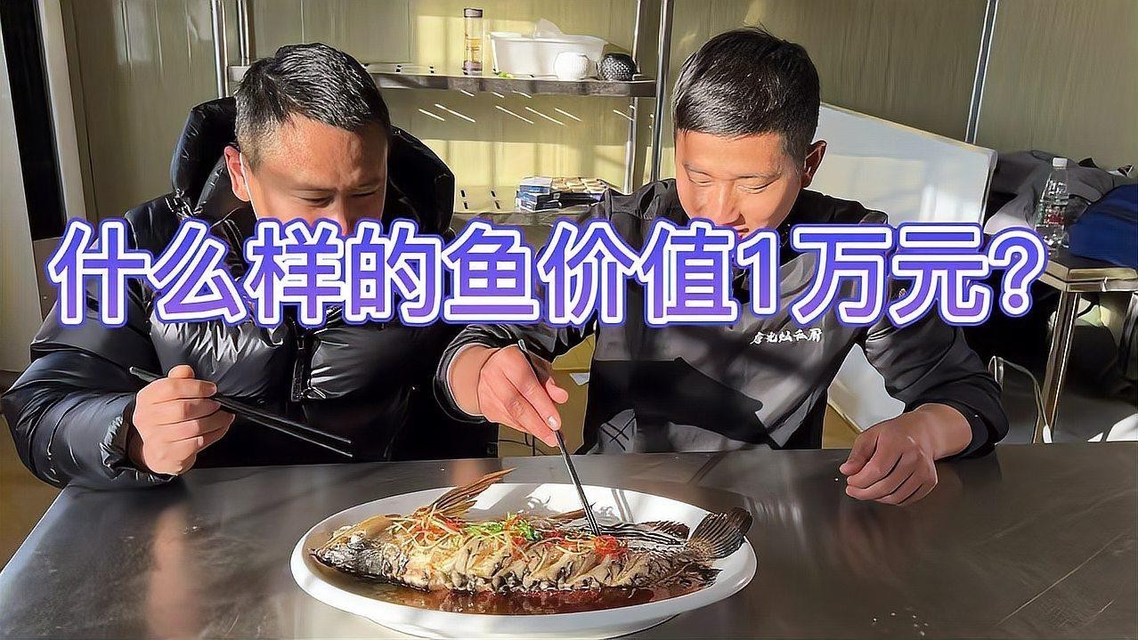 介紹金龍魚的做法視頻大全