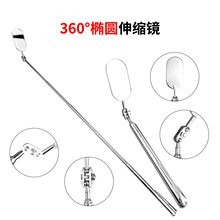 雷龍魚供應商
