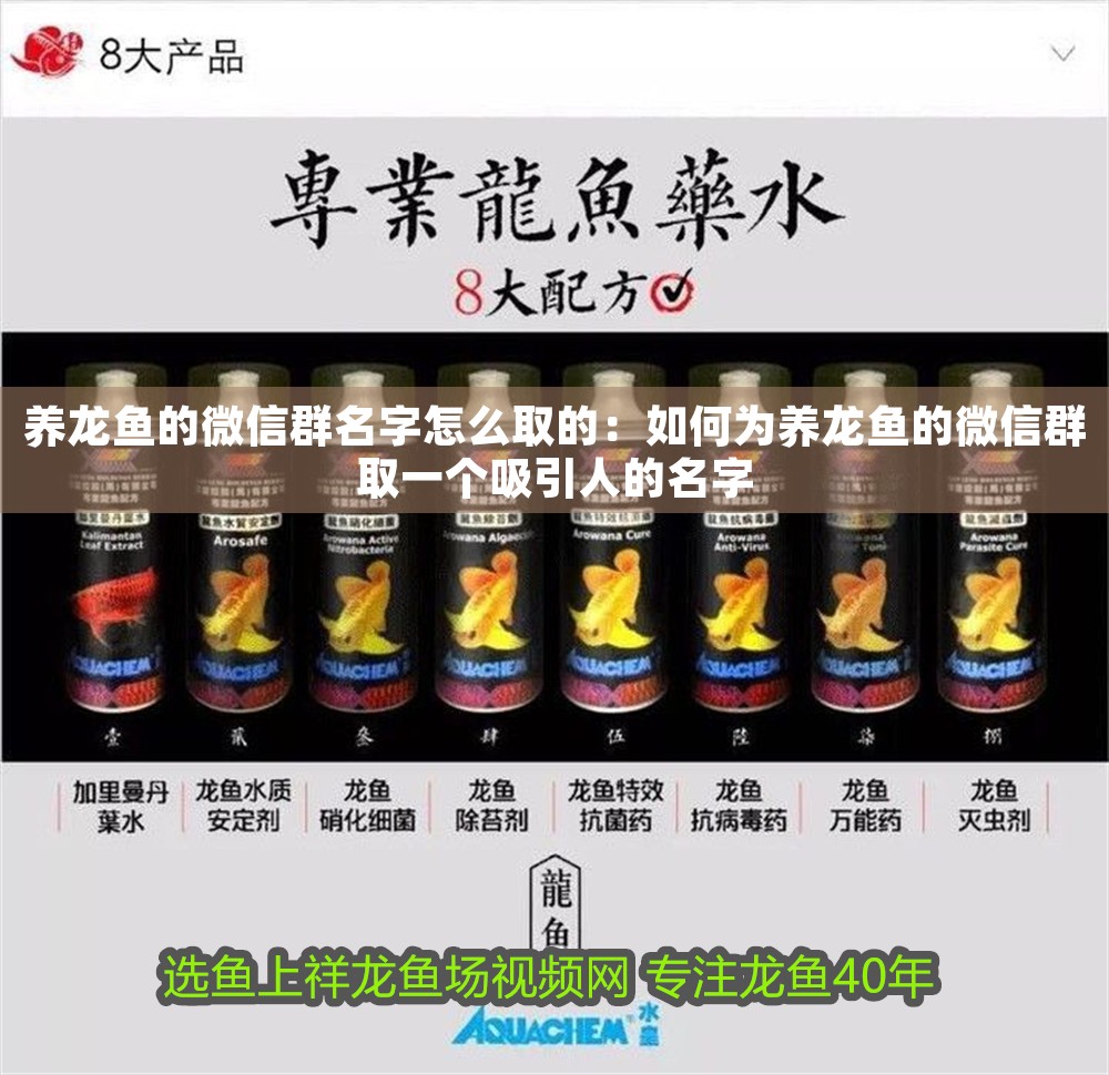 養龍魚的微信群名字怎么取的：如何為養龍魚的微信群取一個吸引人的名字