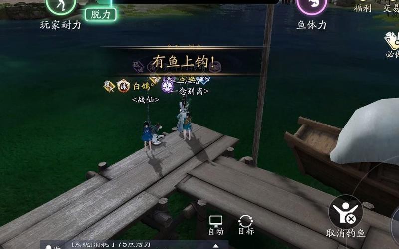 天刀釣金龍魚用什么魚餌