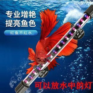 龍魚缸燈盤制作：龍魚缸燈盤制作方法