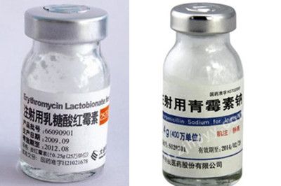 龍魚青霉素治什么病最好：青霉素在龍魚養殖中可能用于治療這些疾病