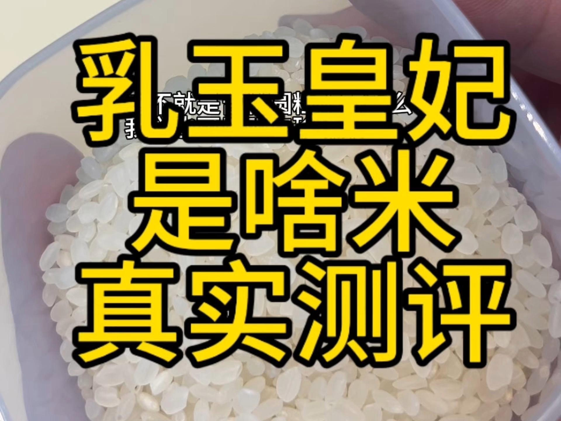 金龍魚有哪些產(chǎn)品線？