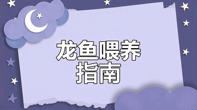 龜增色龍魚飼料的價(jià)格范圍